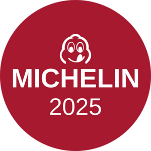 Logo Michelin 2025